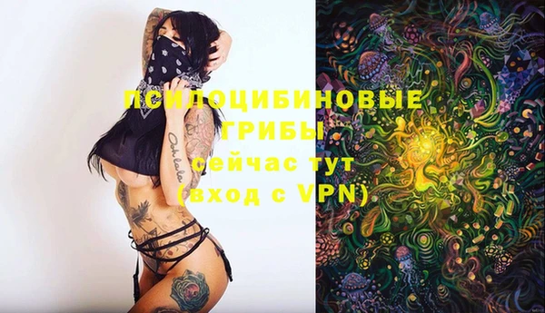 кокаин колумбия Богданович