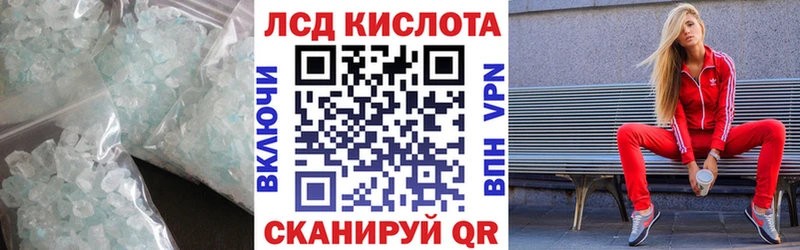LSD-25 экстази ecstasy  ОМГ ОМГ зеркало  дарк нет Telegram  Новодвинск 