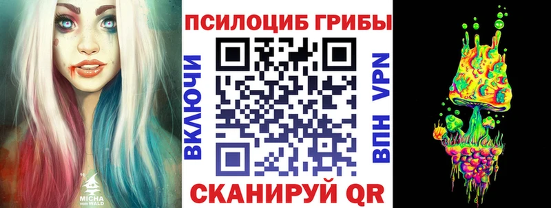shop Telegram  Новодвинск  Псилоцибиновые грибы Cubensis 